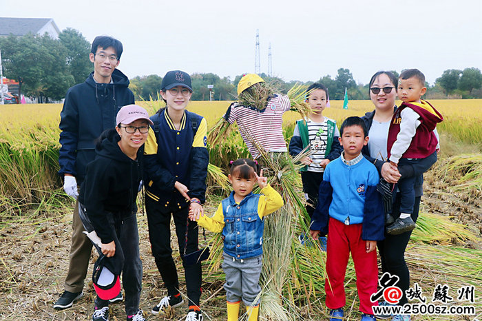 名城苏州：感恩土地 苏州医护割稻中传承农耕文化 (2).jpg