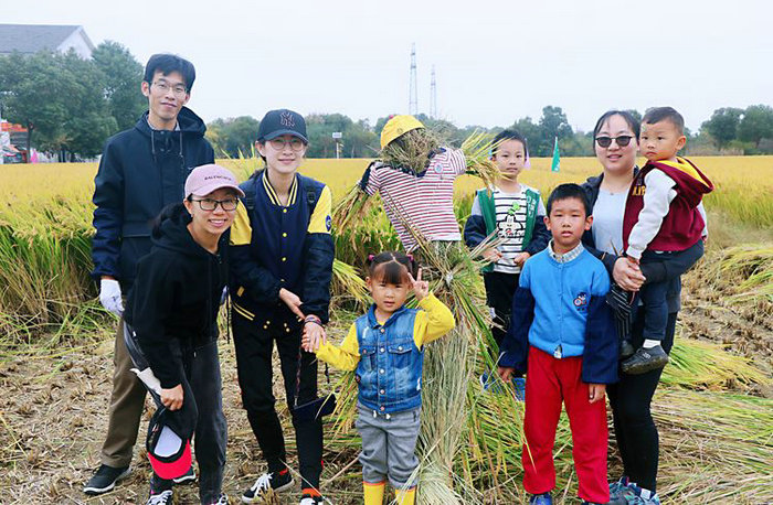 感恩土地 我院医务人员割稻中传承农耕文化 (2).JPG