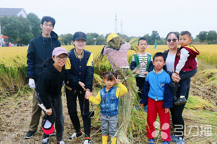 苏报集团（引力播）：感恩土地 苏州医护割稻感受农耕文化 (1).jpg