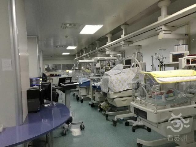 看苏州：战疫里的NICU：苏州“临时爸爸”和他的76个“宝宝”2.jpg