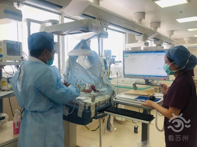 看苏州：战疫里的NICU：苏州“临时爸爸”和他的76个“宝宝”3.jpg