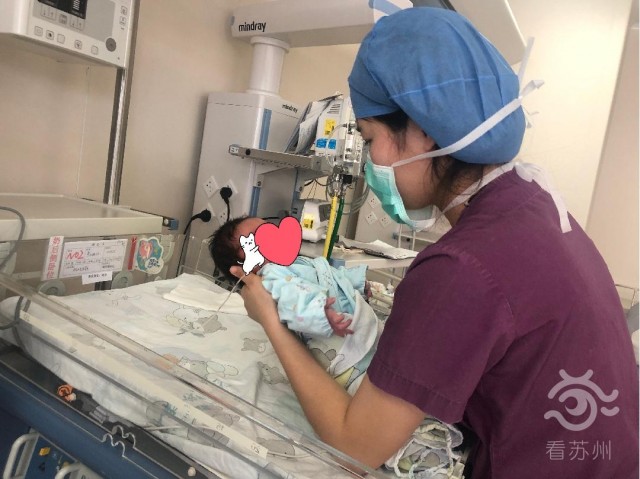 看苏州：战疫里的NICU：苏州“临时爸爸”和他的76个“宝宝”4.jpg