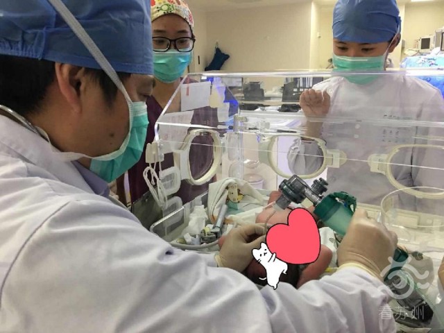看苏州：战疫里的NICU：苏州“临时爸爸”和他的76个“宝宝”.jpg
