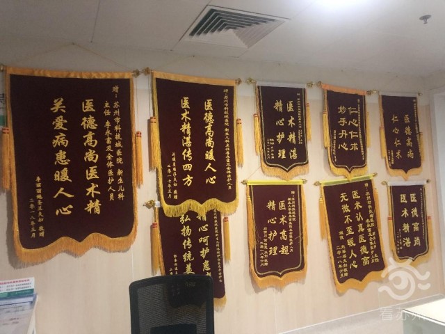 看苏州：战疫里的NICU：苏州“临时爸爸”和他的76个“宝宝”11.jpg