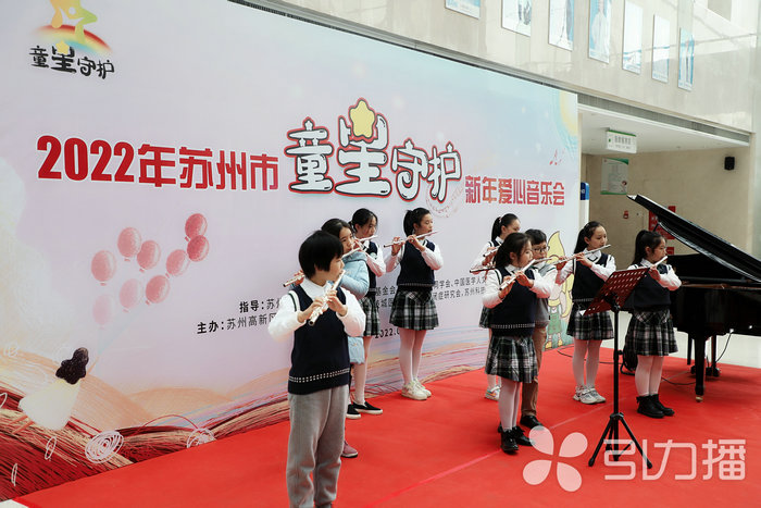 苏报集团（引力播）：新年爱心音乐会奏响 为“星宝”募捐4000余元2.jpg