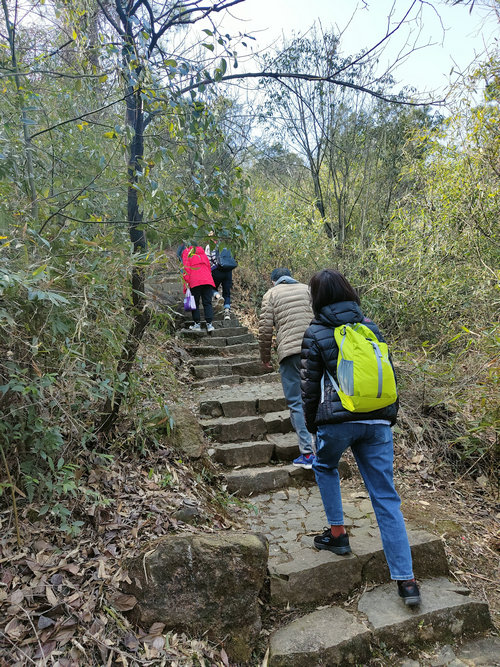 促发展，展风采 我院组织女职工开展徒步登山活动_0001.jpg