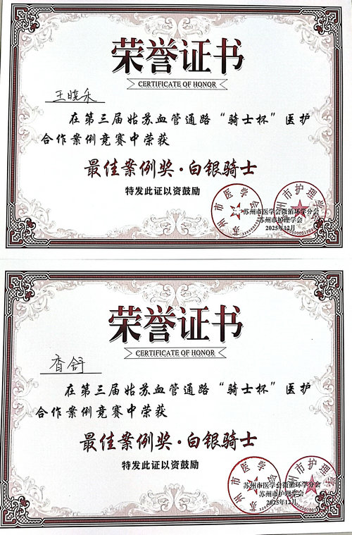 我院在第三届姑苏血管通路“骑士杯”竞赛中斩获佳绩2.jpg 我院在第三届姑苏血管通路“骑士杯”竞赛中斩获佳绩2.jpg